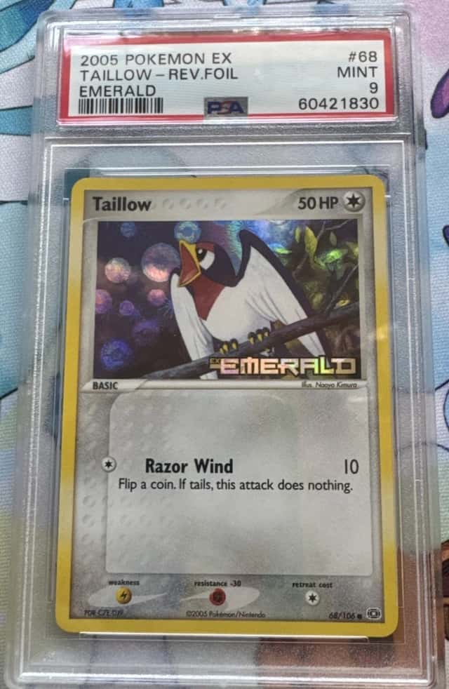 Taillow
