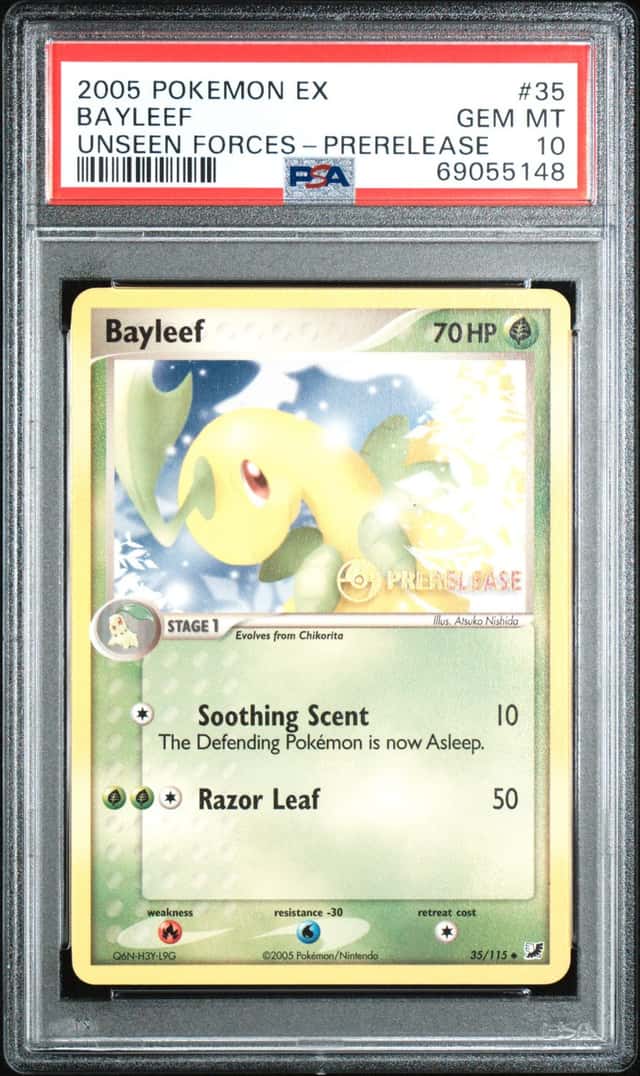 Bayleef