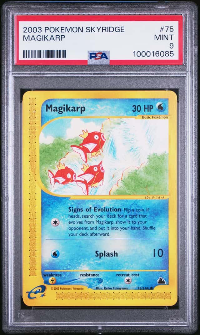 Magikarp