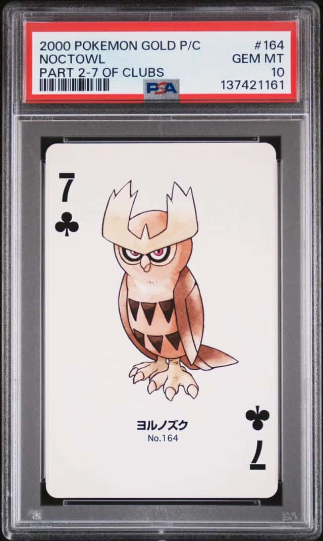 Noctowl