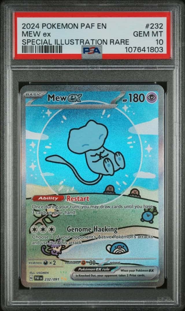 MEW ex