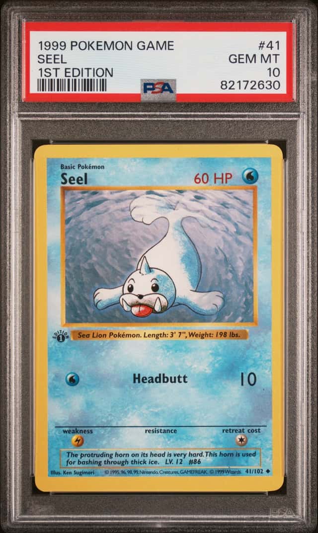 Seel