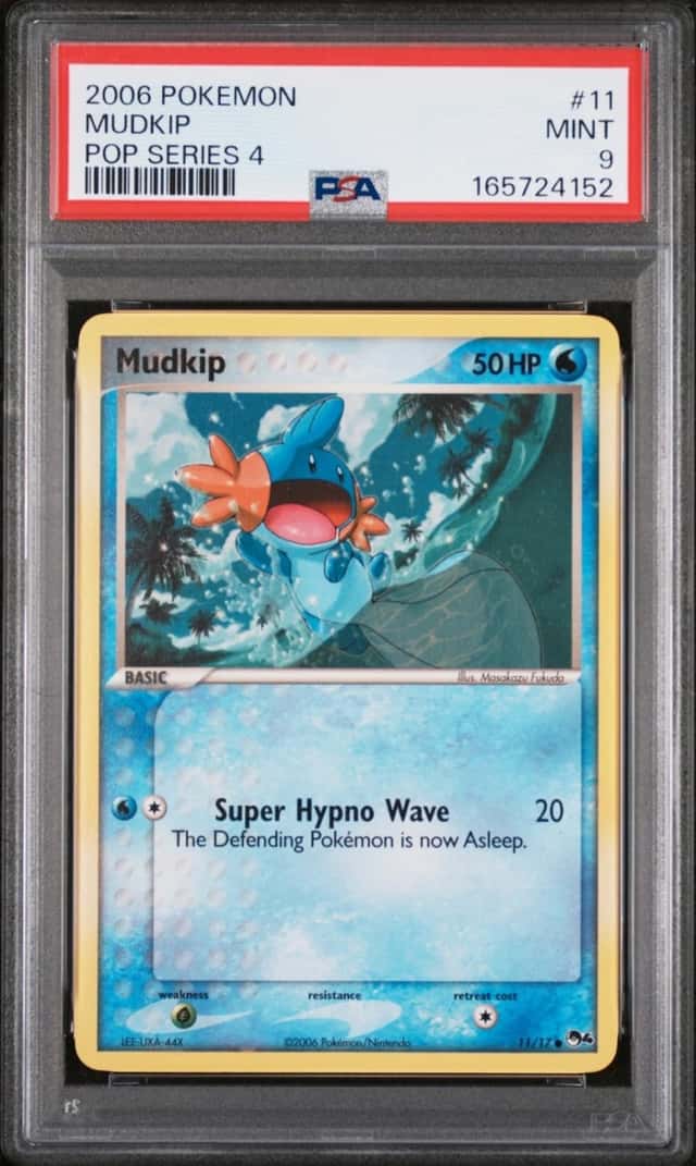 Mudkip