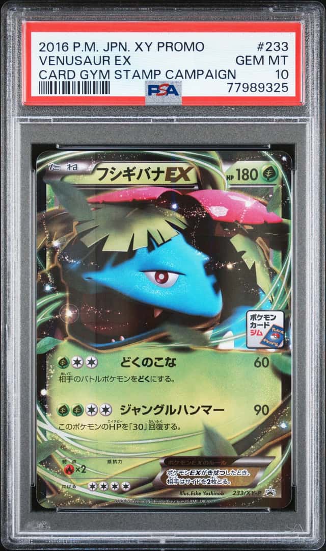 Venusaur EX