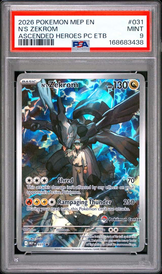 N's Zekrom