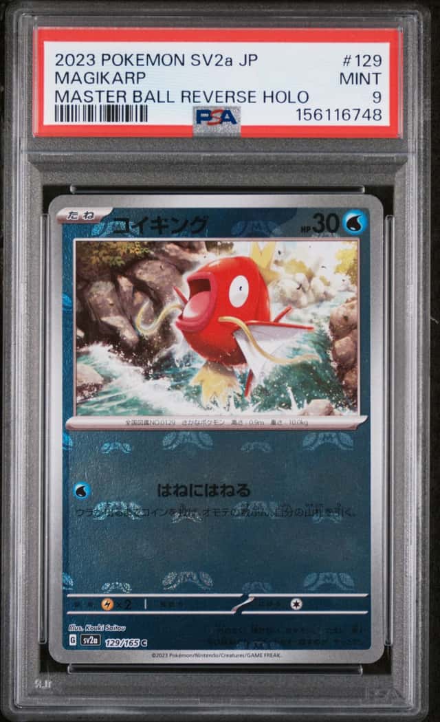 Magikarp