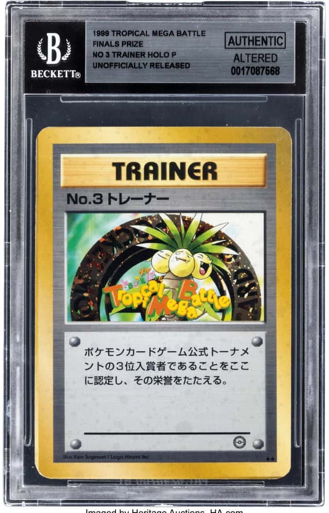No 2 Trainer