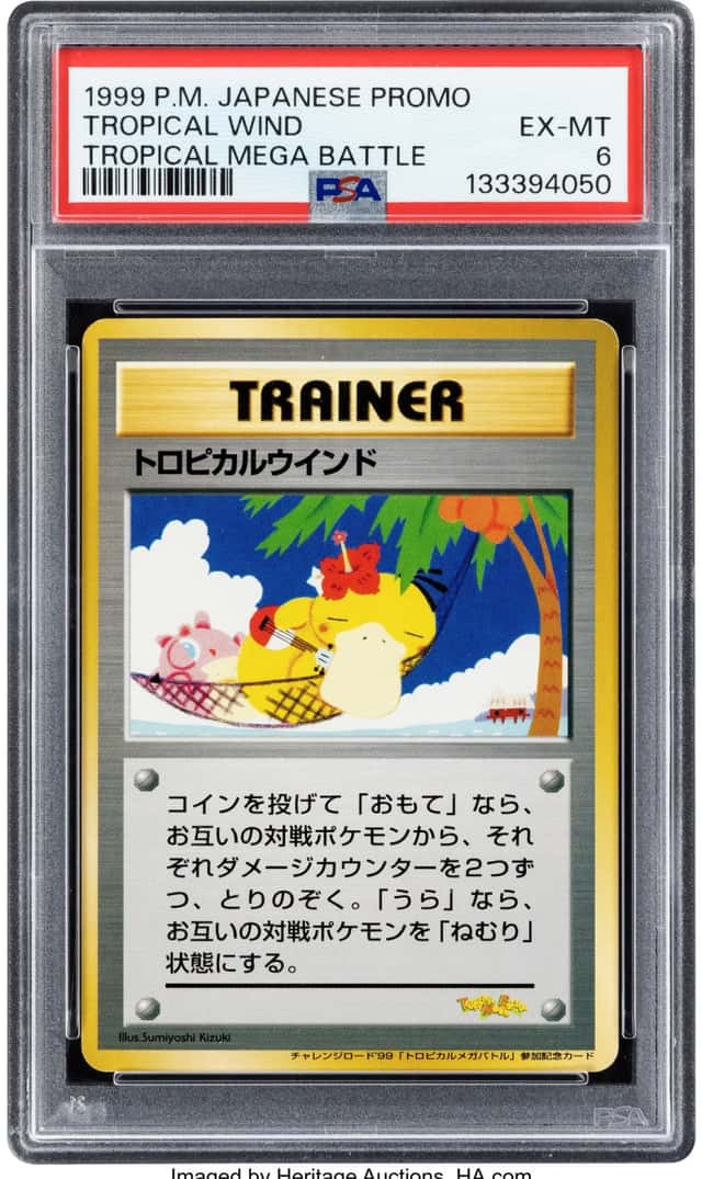 Tropical Wind