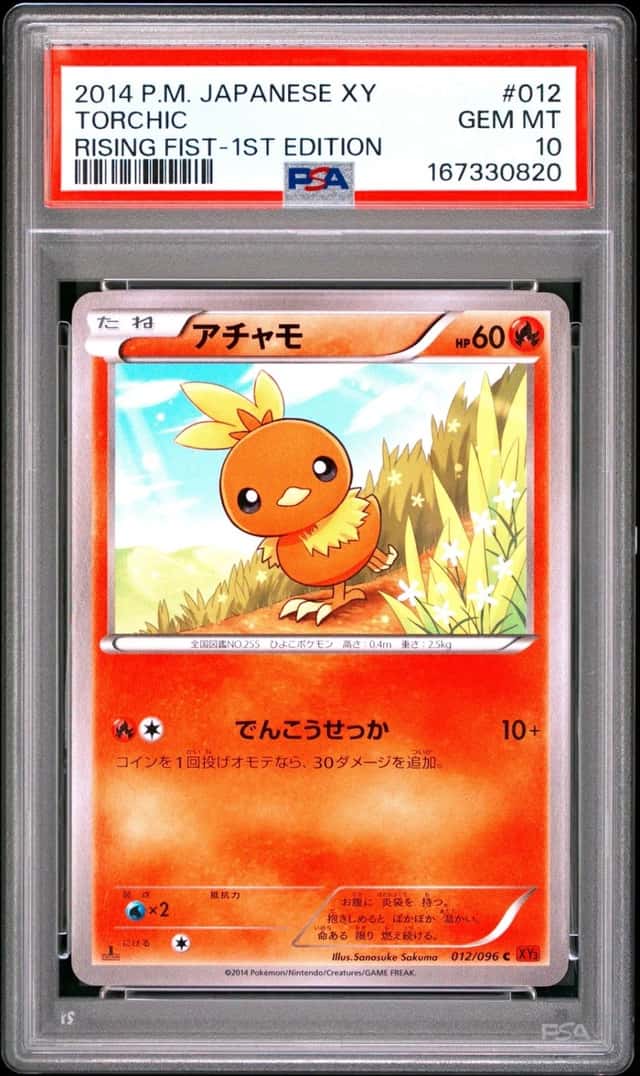 Torchic