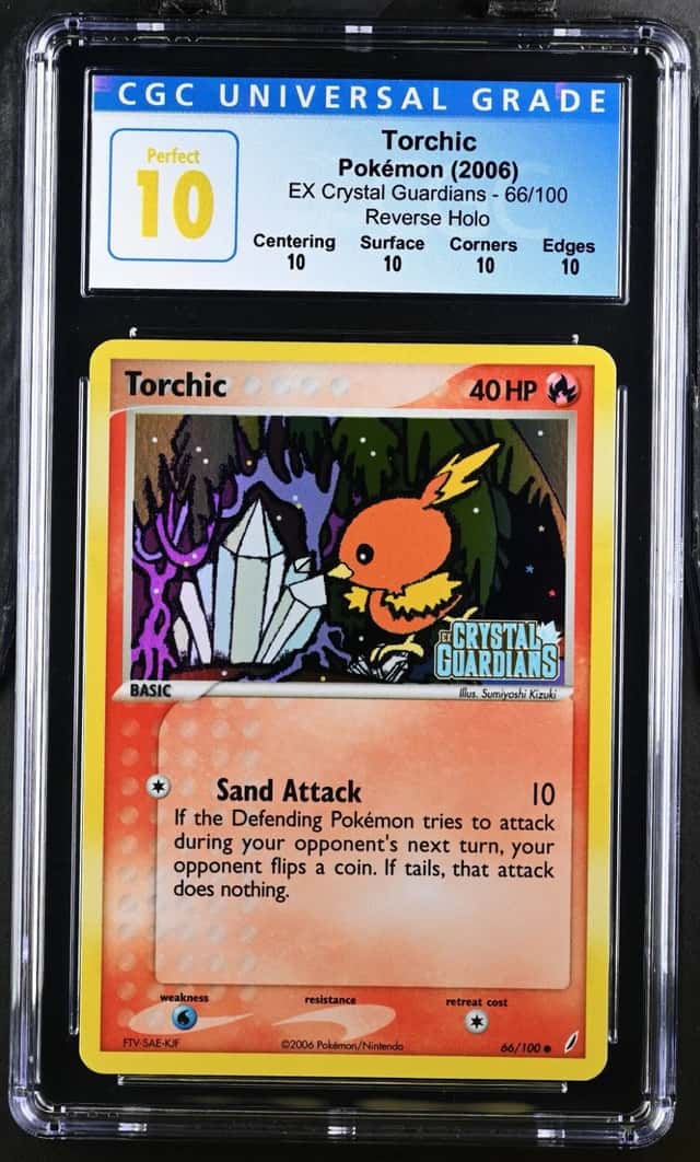 Torchic