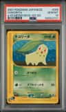 Chikorita