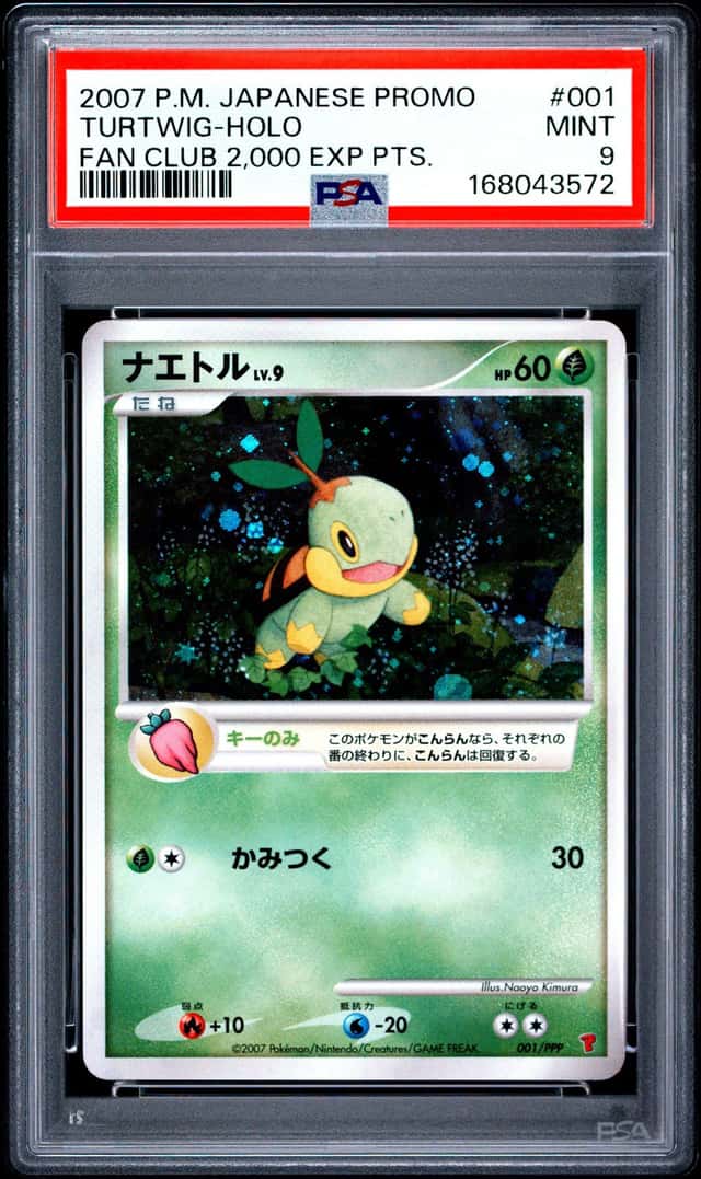 Turtwig