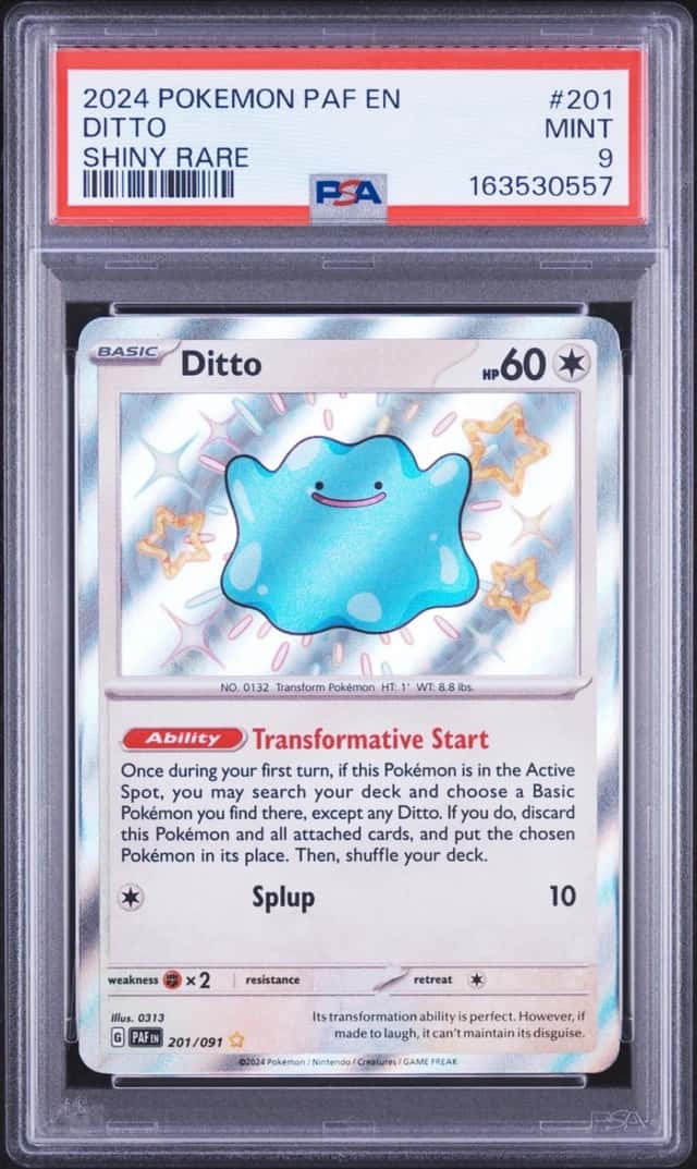 Ditto