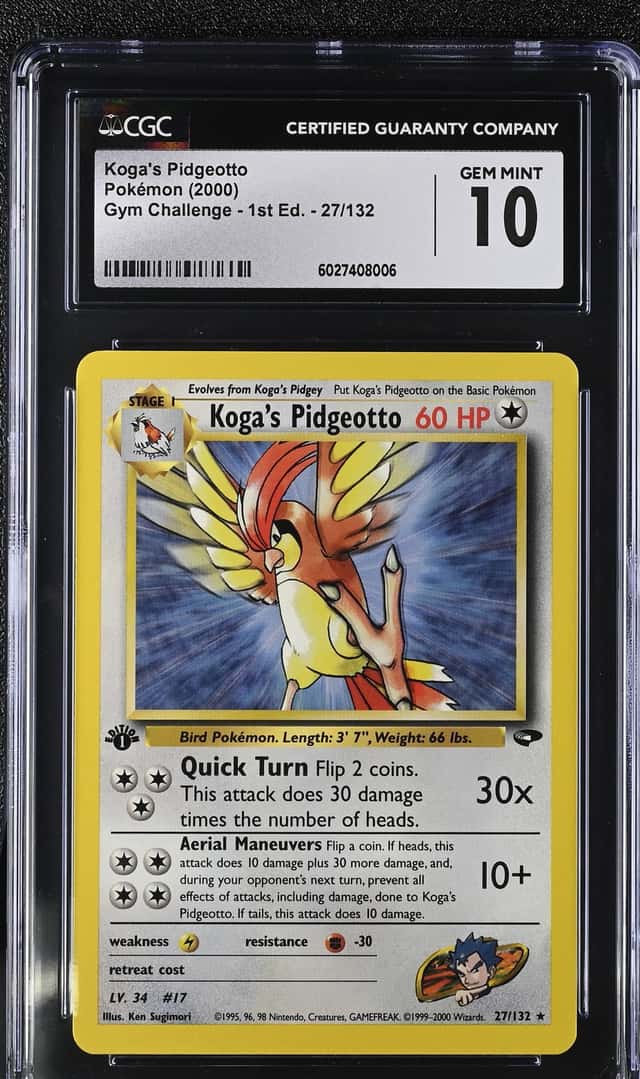 Koga's Pidgeotto