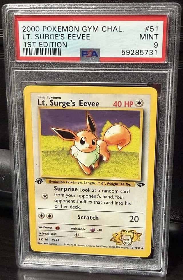 Lt. Surge's Eevee