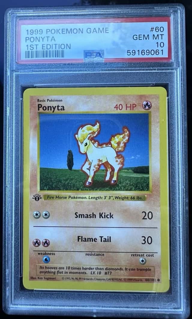 Ponyta