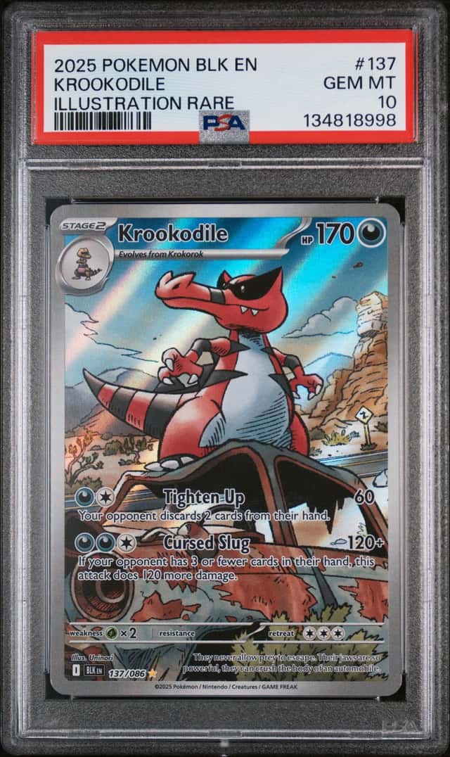 Krookodile