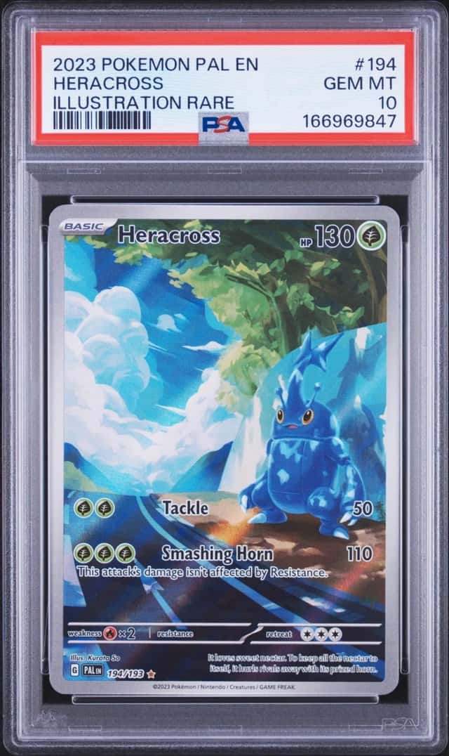 Heracross