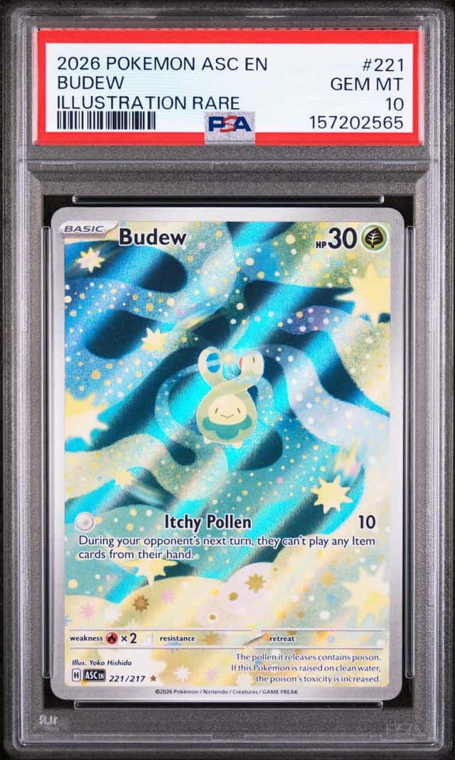 Budew
