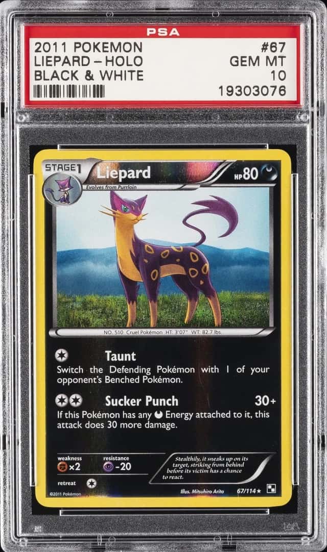 LIEPARD-REV.FOIL