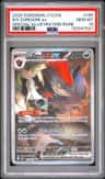 N'S Zoroark Ex