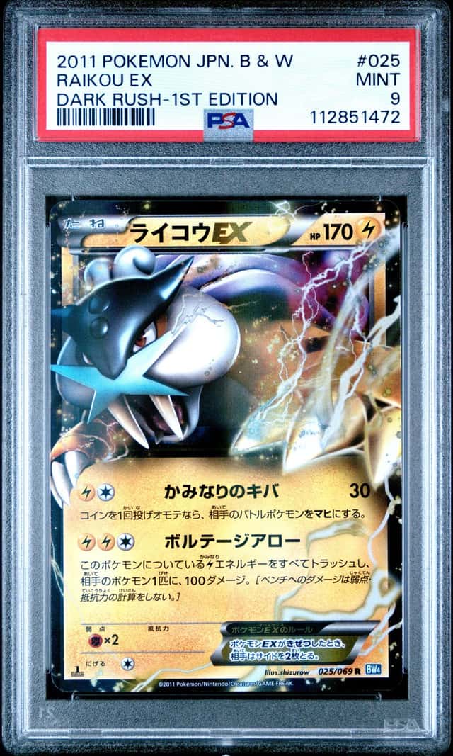 Raikou EX