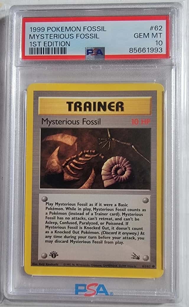 Mysterious Fossil