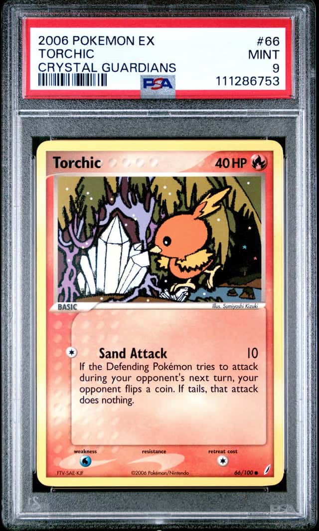 Torchic