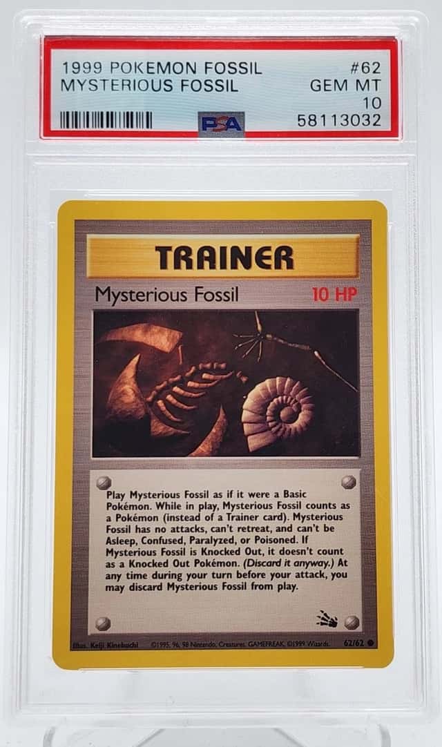 Mysterious Fossil
