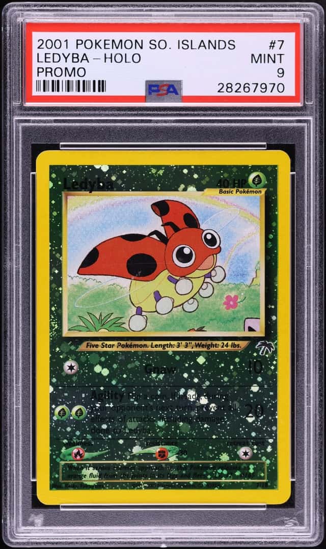 Ledyba