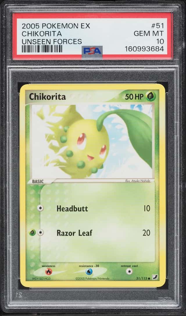 Chikorita