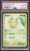 Chikorita