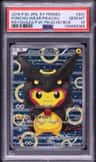 Poncho-Wearing Pikachu