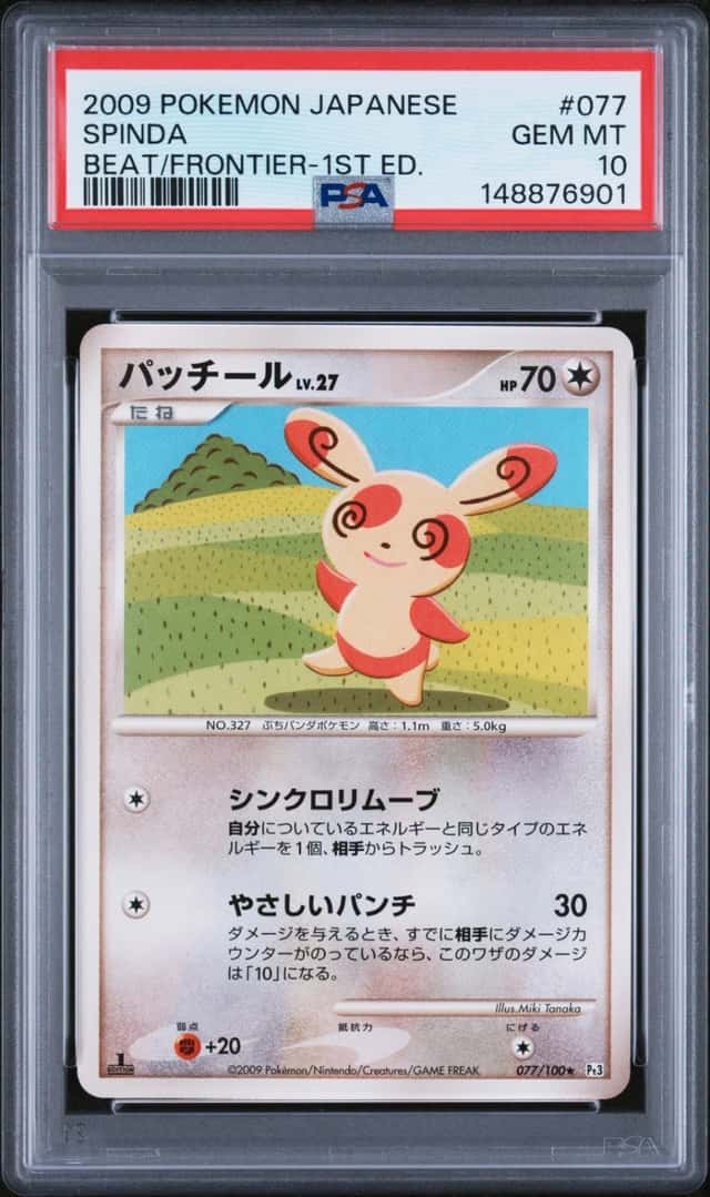 Spinda