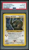 Shining Noctowl