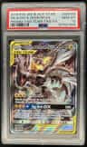 Pikachu & Zekrom Gx