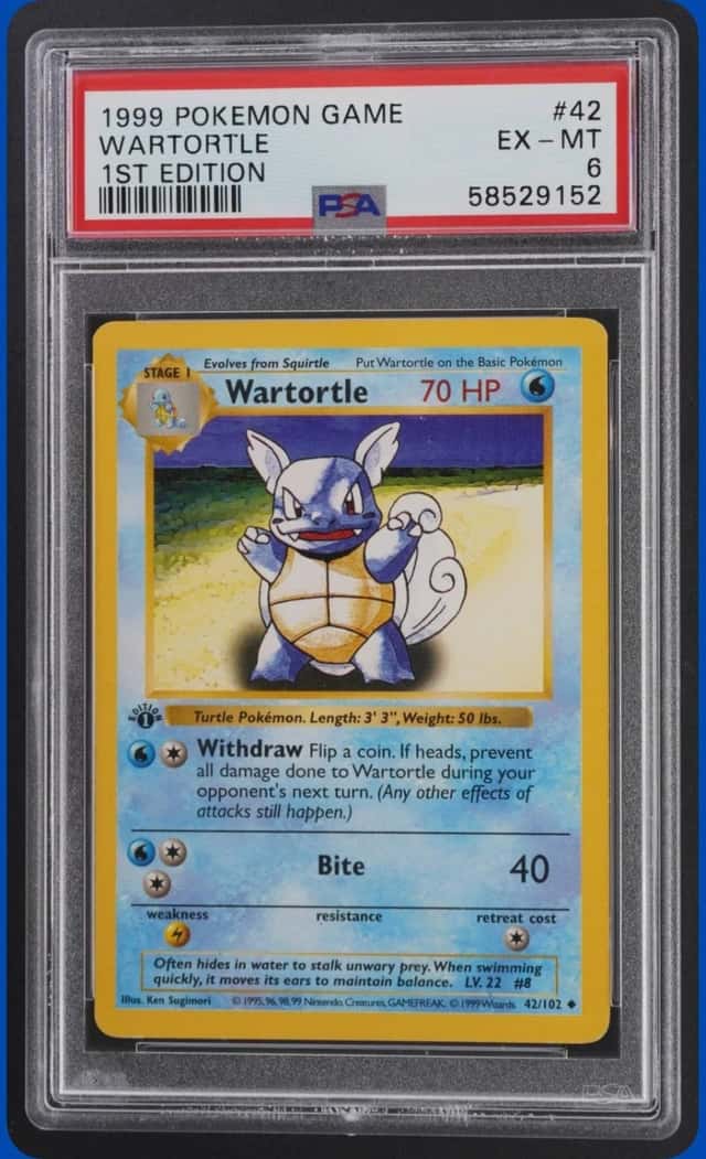 Wartortle