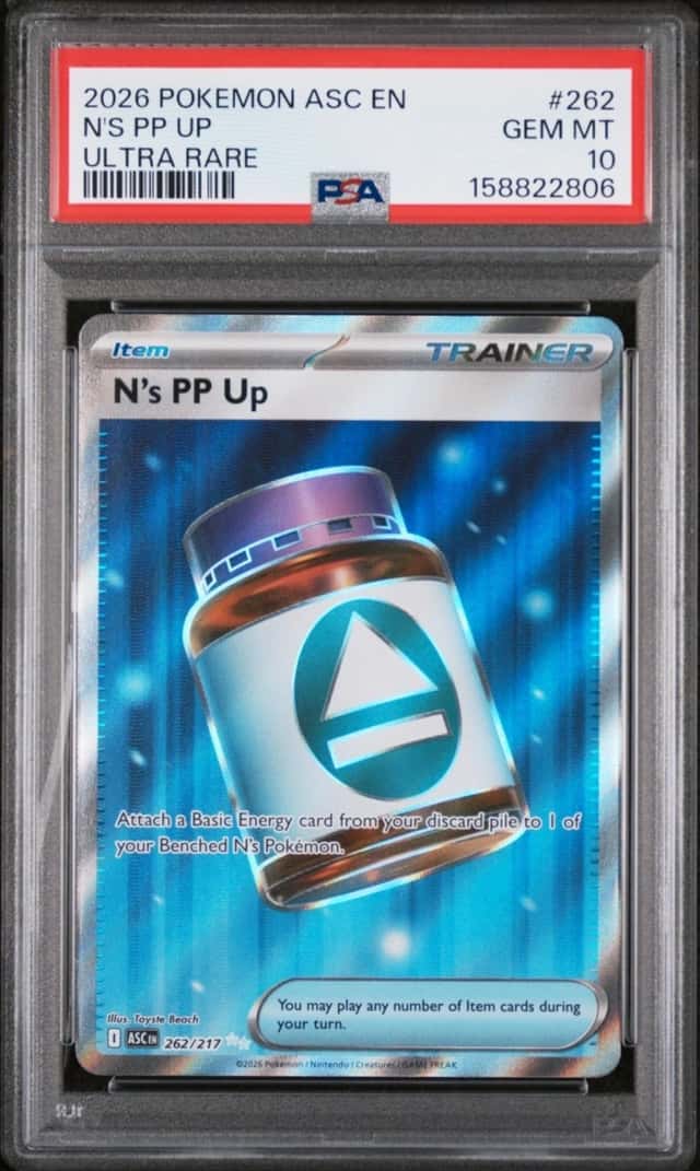 N's PP Up