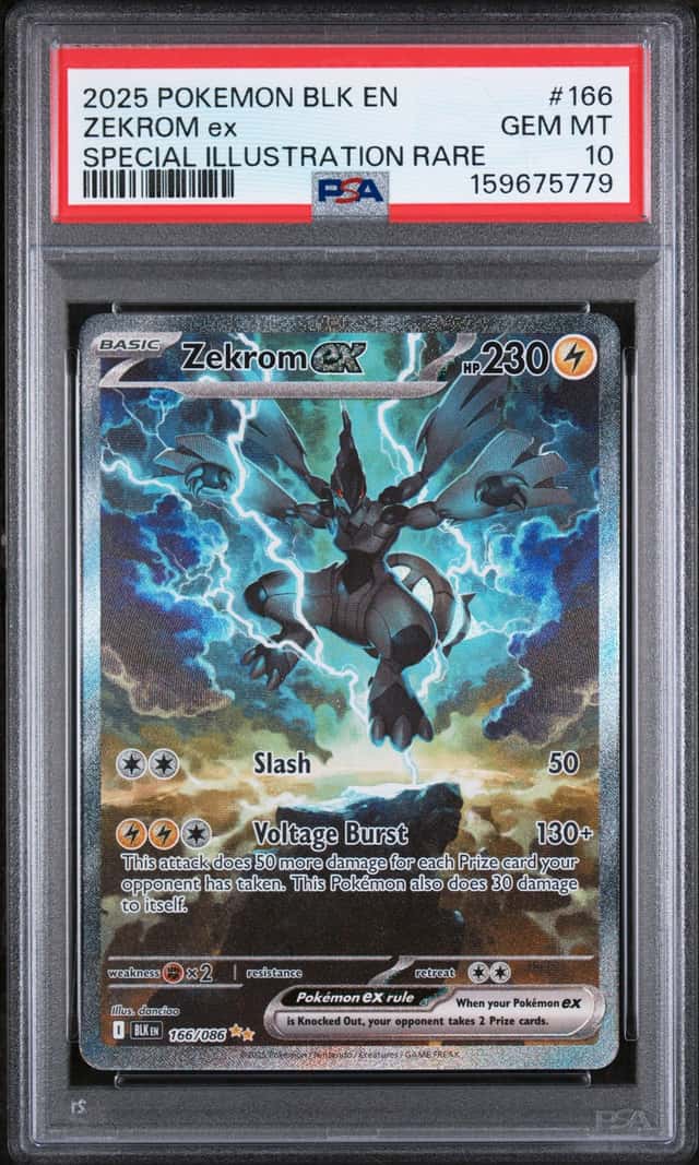 ZEKROM ex