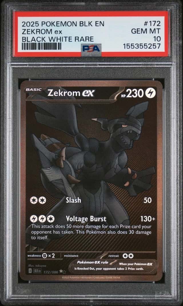 ZEKROM ex