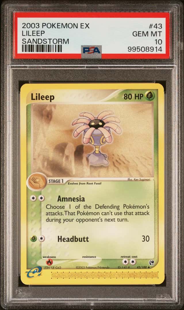 Lileep