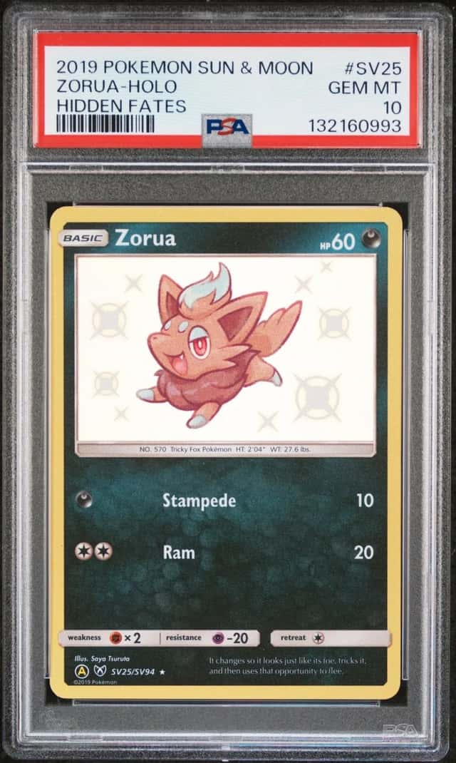 Zorua