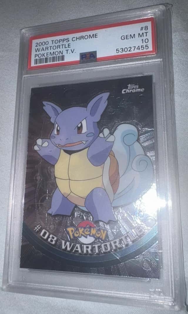 Wartortle