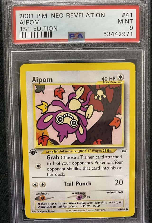 Aipom