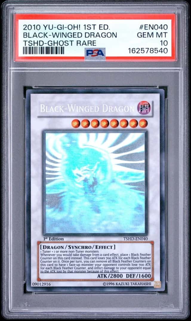 Black-Winged Dragon