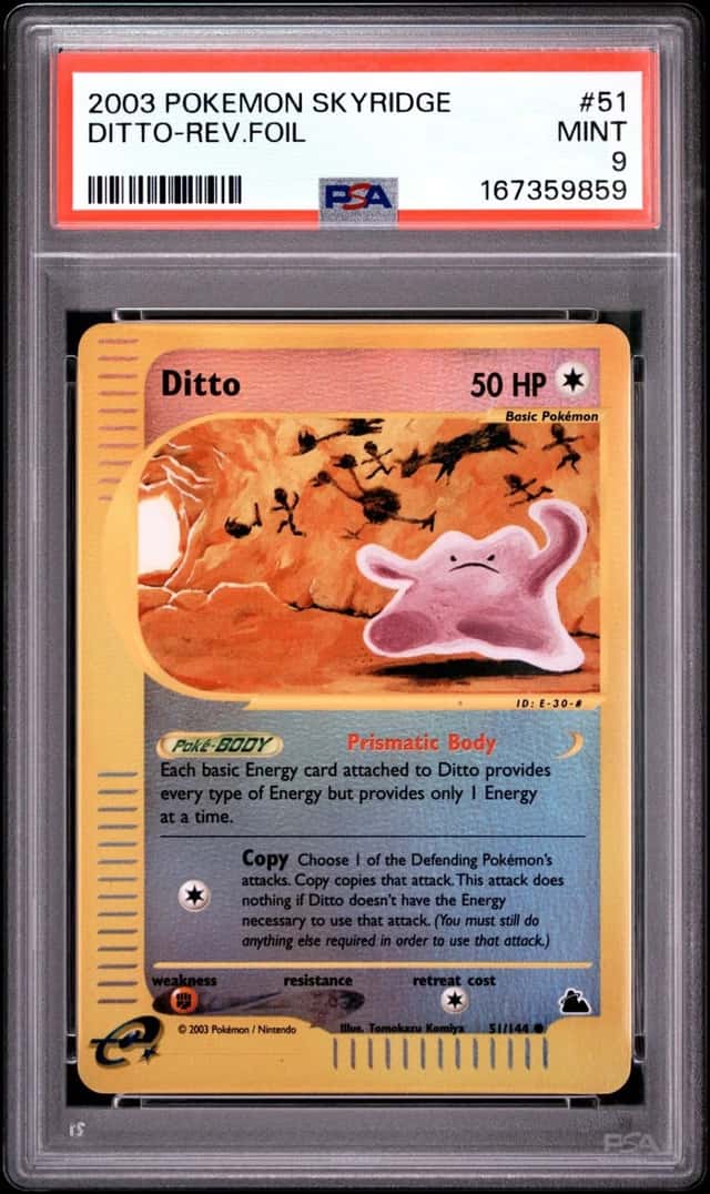 Ditto