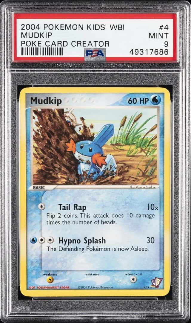 Mudkip