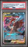 Greninja & Zoroark Gx