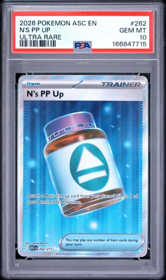 N's PP Up