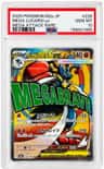 Mega Lucario Ex